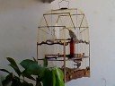 Chant suriname Pi� craz� - Z�phir Pico
