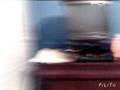 videos de Testing