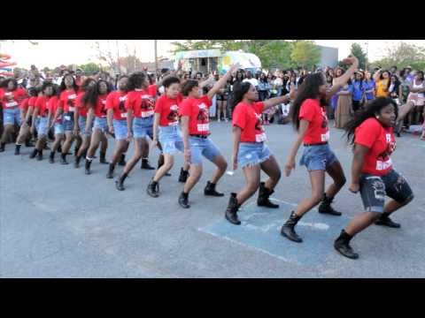 Stroll - Iota Tau Chapter of Delta Sigma Theta Sorority, Inc. Delta Week Cookout.Strolloff Spring 2014 36 F.O.R. MTSU.