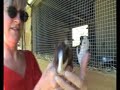 On The Farm With Phil Martin Update Part Two