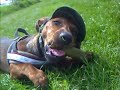 Kleiner Fritz ganz cool. by http://www.unser-kleiner-fritz.eu