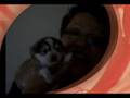 Gina's Litter