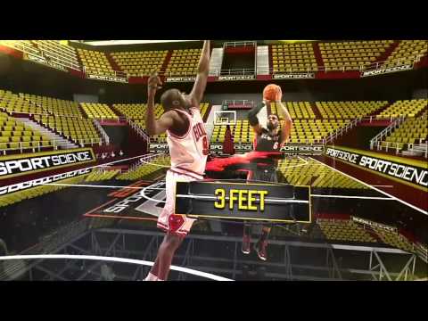 LeBron James Sport Science 2013