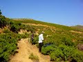 collecting ladanum 2