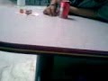 videos de la venganza del jonathan