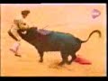 no-alos-toreros-lo-mas-vistono-toreros.html