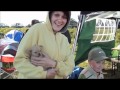Click to View : Bubliai 2011m.