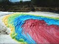 Cuatro colores - Carolina Navarro-Echenique