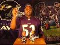Ravens-on-Cam-2007-0