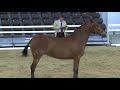 Iberica DM Alcab 2011 28042011
