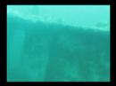 Clip BUceo