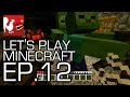 Let's Play Minecraft Episode 12 - Last Man Standing