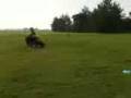 videos de Video-0003.mp4