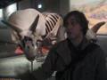 The Remus Lupins : A Day at the Museum