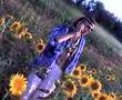 Don Zilijen Diretore Sunflowers fild Don Zilijen Diretore Sunflowers fild