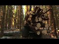Gremo 1050F is a further development of the successful forwarder 950F which has been market-leading in Sweden for over a decade in the 