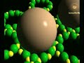 [2] Maravillas modernas - Estaciones espaciales