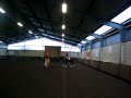 Reiten macht Spaß x\ Reiten macht Spaß x\