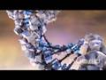 Hybrid Medical Animation DNA