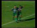 Botafogo-SP 0-8 Palmeiras - Paulistão 96