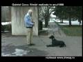 Eliminarea recompensei si i_HD_1080p_youtube.mp4