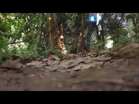 Ewatomi official Trailer