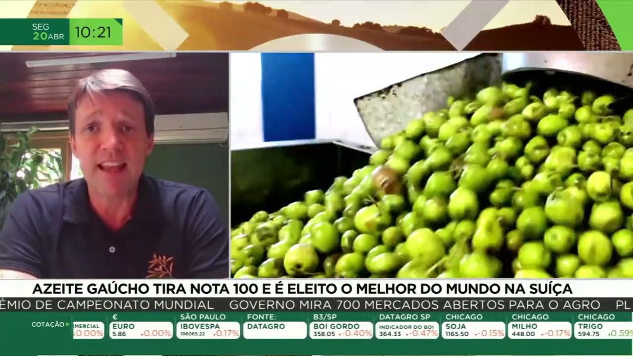 Azeite gaúcho tira nota 100 e é eleito o melhor do mundo na Suíça