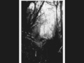 Sanguis et Cinis - Prologue