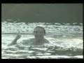 BUCKET LIST #1: SWIMMING WITH DOLPHINS