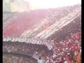videos de o tricolor
