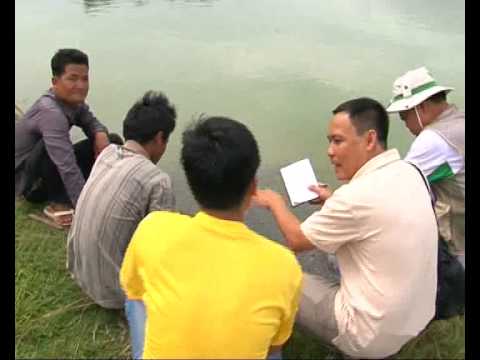Ký Sự Cá Tra - Tập 4: Nghề Cá Tra Ở Campuchia