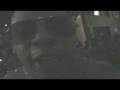 videos de Dr. Darrius Birthday/Al Nuke Hosts 6minutesTV