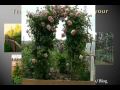 What is a Tomato Trellis?