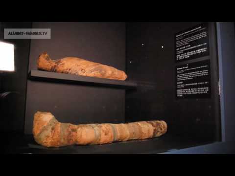 almost-famous.tv “Whassups” 211209 – Quest for Immortality at National Museum of Singapore