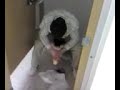 Eddy qui vommit ! :P haha Eddy qui vommit ! :P haha