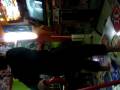 videos de chimera hard sandy