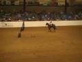 ApHC 2007 World Show Freestyle Reining (PoTC)