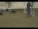 kira-cpe-snookers-l2-q-title-april-2008.html