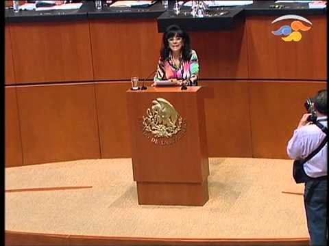 Ver Video