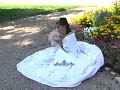 Maria Quincea�era Dragonfly-Photo-Video