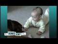 Baby and Boxer Seen on \"The Bonnie Hunt Show\"