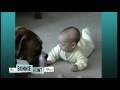 Baby and Boxer Seen on The Bonnie Hunt Show