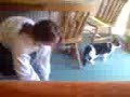 Katies cats Do love me!