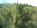 Go Ape Zip Slide at Aberfoyle