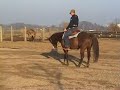 Westernreiten - Almuth`s Reitschüler Andi Westernreiten - Almuth`s Reitschüler Andi