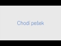 Zobraz video