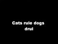 cats rule dogs drule