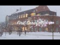 First Snowfall