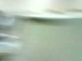 videos de SIA II.3GP