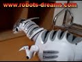 RoboRaptor Roams